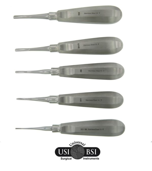 Premium Instruments Dental Extraction Spear Root Elevator #36 – 6.25", Stainless Steel, Hex Handle