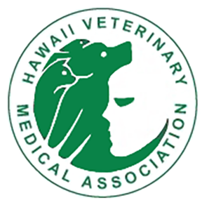 Hawaii logo 2025 1.0 Hawaii logo 2025 1.0